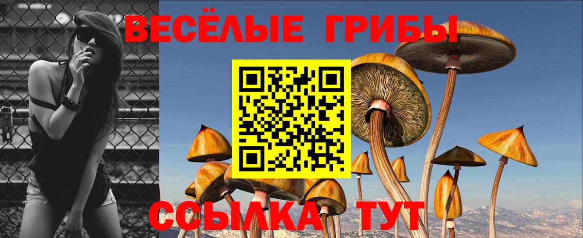 Асбест  Галлюциногенные грибы Cubensis  Вход с VPN 